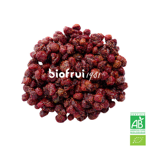 Fraise sauvage des alpes dinariques séchée bio - 2